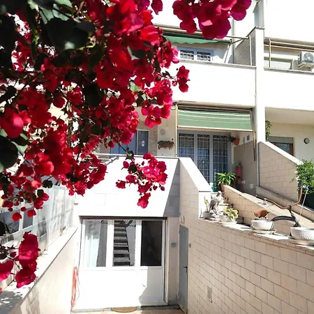 Casa Gisella Surf House * Ladispoli